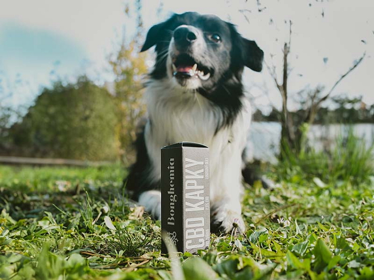 5% CBD Kapky "Pro Zvířata"