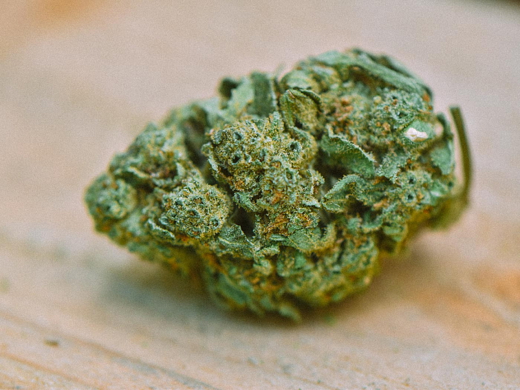 Detail outdoor CBD květu Monkey Cookies – zelený květ s trichomy a oranžovými pestíky, české konopí, legální do 1 % THC.