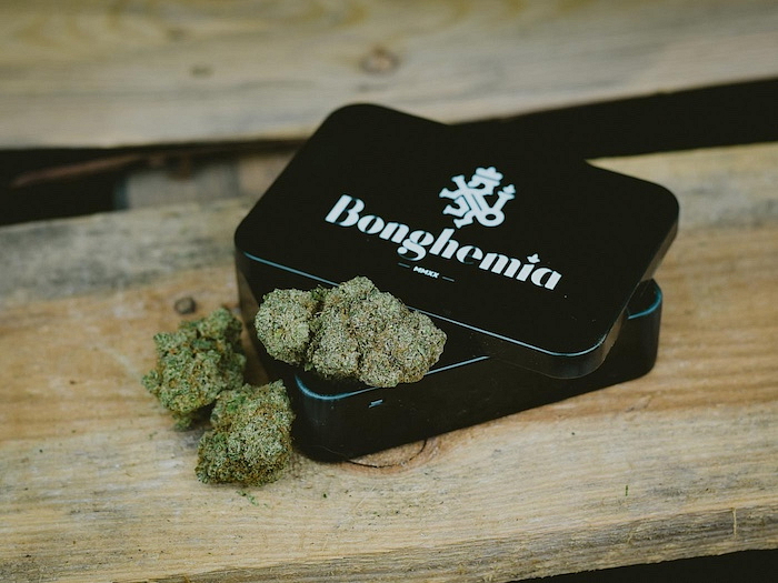CBD weed legální konopí premium brno praha hk