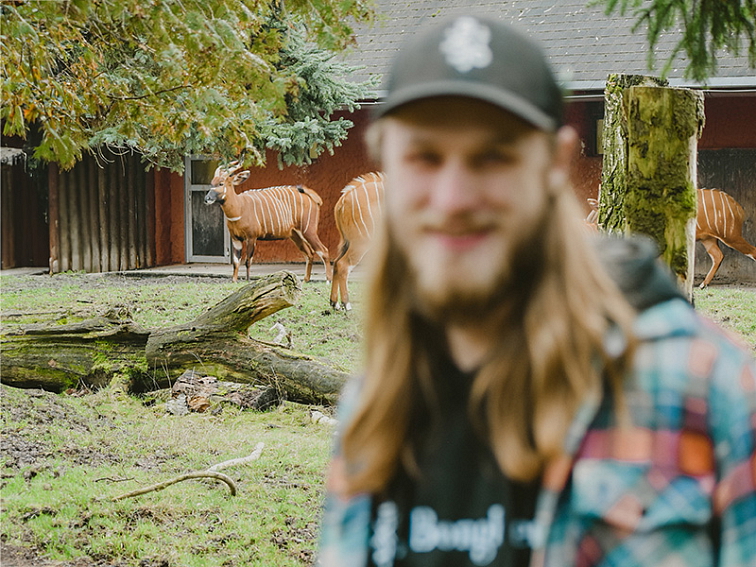 Bonghemia a safari park dvůr králové podporují bongo horský