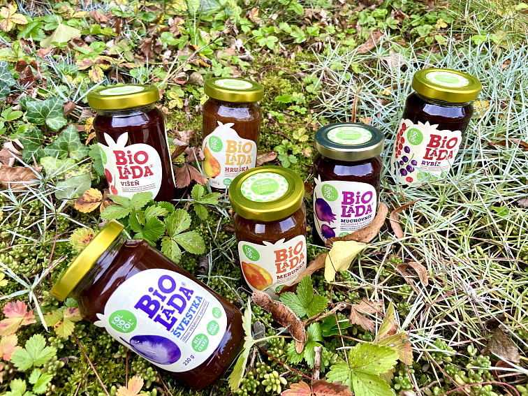 Bioláda rybíz 230g bio