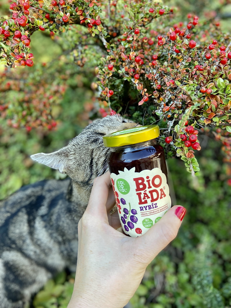 Bioláda rybíz 230g bio