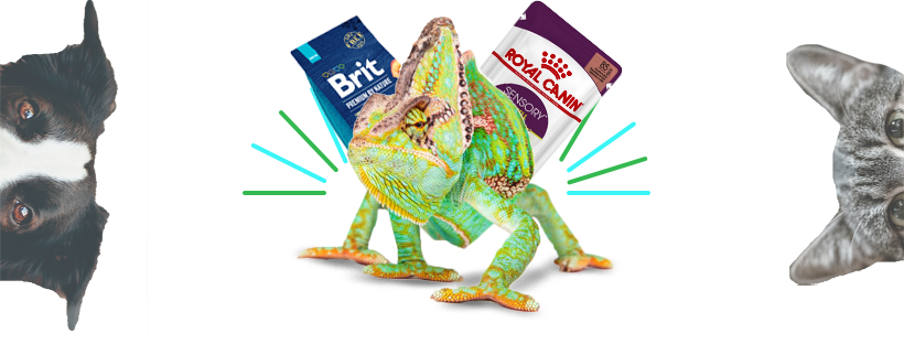 Jak využívá Pobo Page Builder úspěšný e-shop Zooaqua?