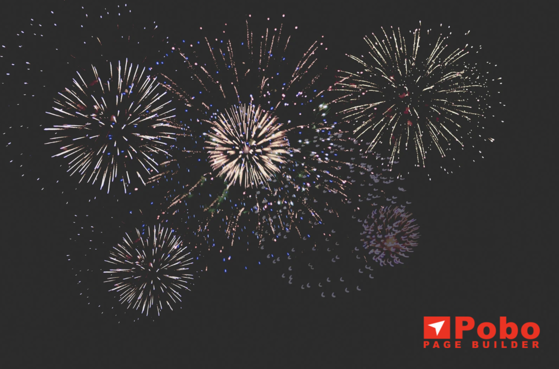 What did 2024 bring us in Pobu?