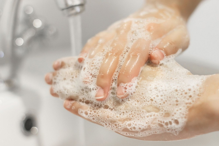 Chestnut Hand Soap Rosemary and Lemongrass