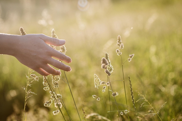 Chestnut Hand Soap Rosemary and Lemongrass