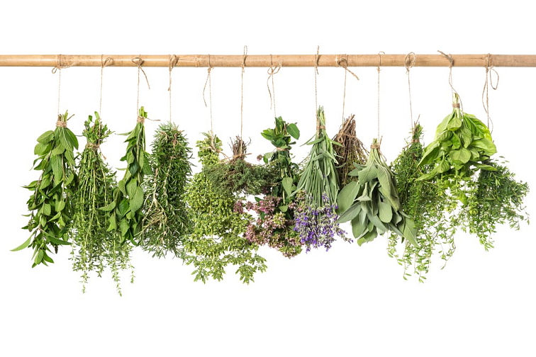 Morning Freshness Organic Essential Oil Blend