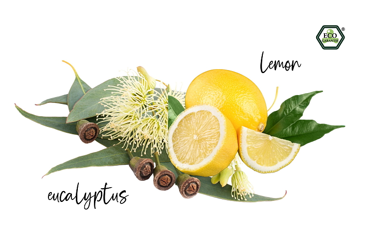 Morning Freshness Organic Essential Oil Blend