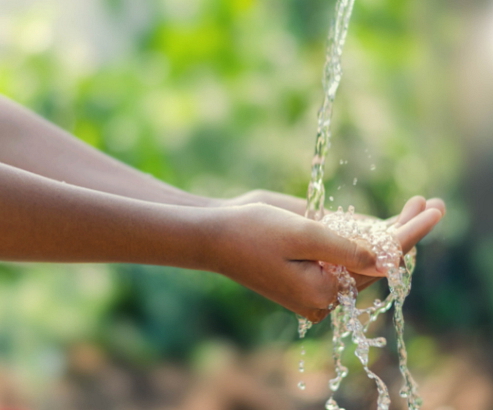 Chestnut Laundry Gel Concentrate Lavender