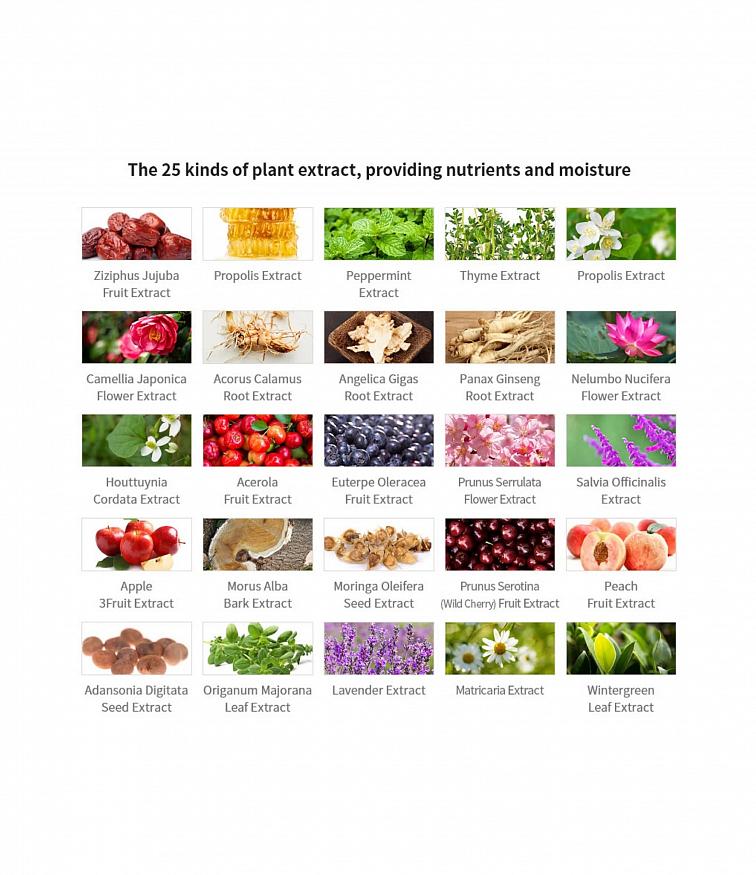 Dr. Ceuracle Scalp DX Scaling shampoo - vyživující šampón zabraňující vypadávání vlasů