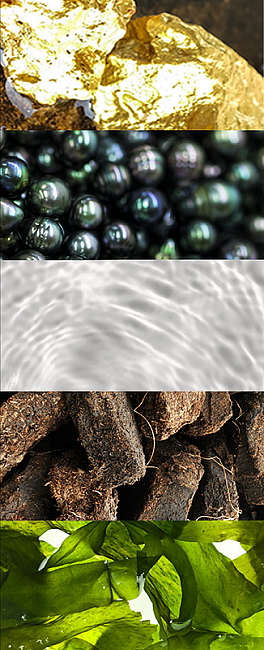 Petitfée Black Pearl and Gold Hydrogel Mask Pack - hydrogelová pleťová maska