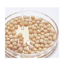 Mixsoon Bean cream - Vyživující denní krém s Fermentovanými sojovými boby