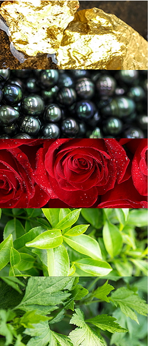 Petitfée Black Pearl and Gold Hydrogel Eye Patch - hydrogelové oční polštářky