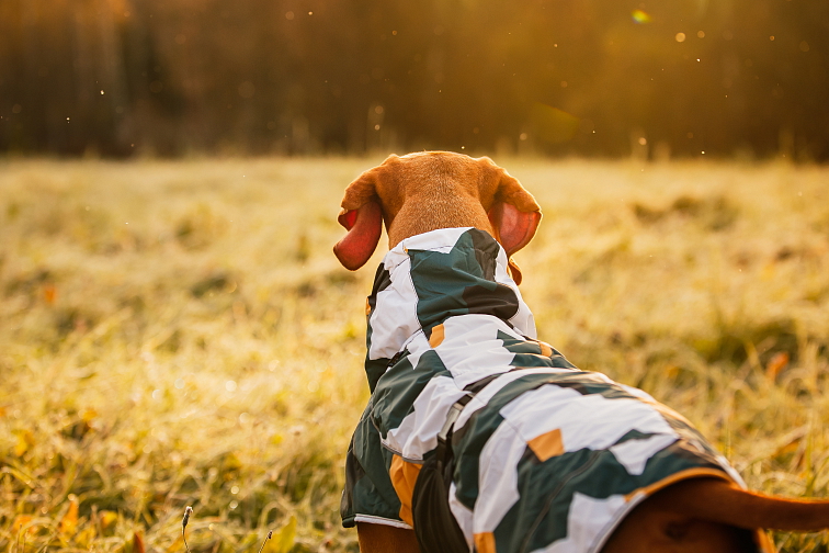 Rukka zimní obleček Stormy coat camo