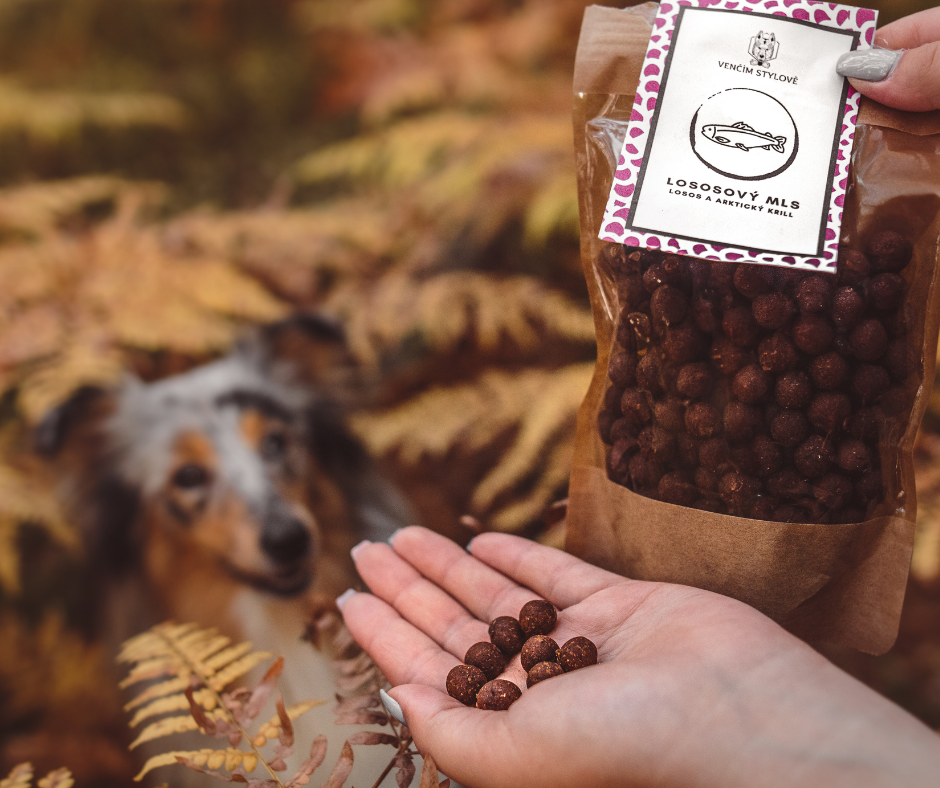 Nebezpečné potraviny¨