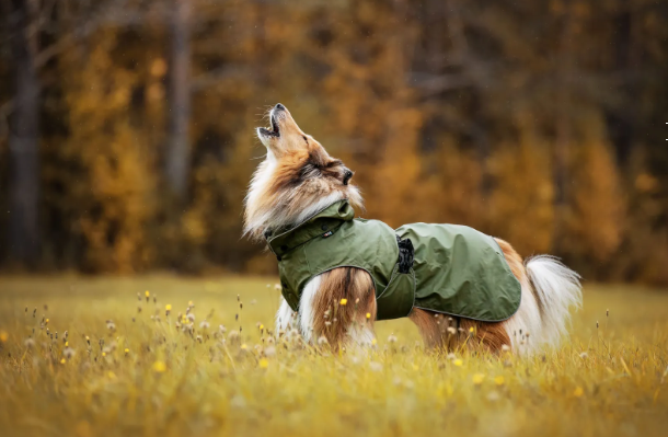 Rukka WarmUp zimní voděodolná bunda růžová