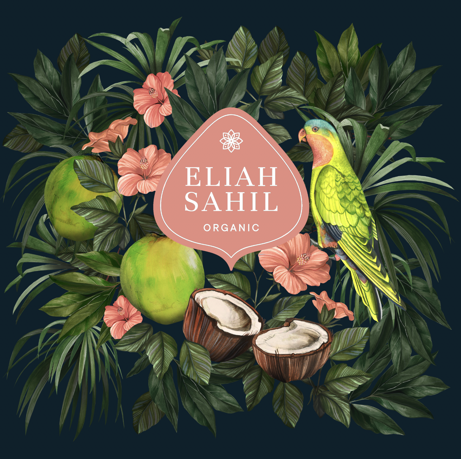 Organic Powder Shampoo Rose Eliah Sahil 100g