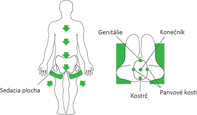 Asana Architekt stolička