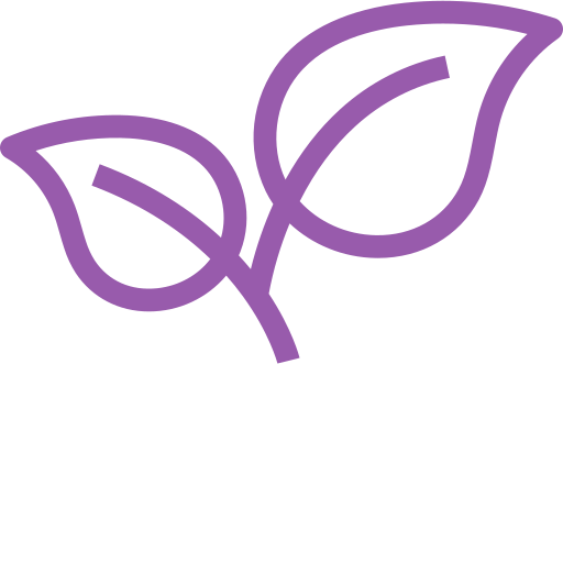 Monks Mystic Elixir Kit