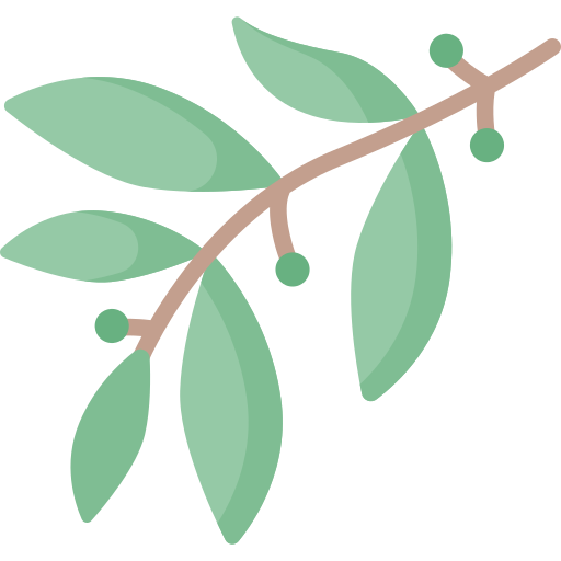 Najel Aleppo Oragnický šampón 2 v 1 na normálne vlasy