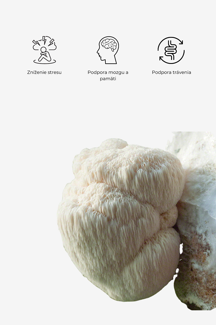 Monks Mystic Elixir - Medicinal Mushrooms & Cacao 80g