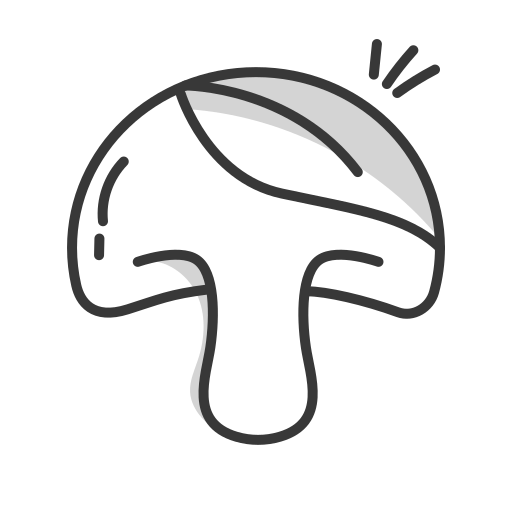 Monks Mystic Elixir - Medicinal Mushrooms & Cacao 80g