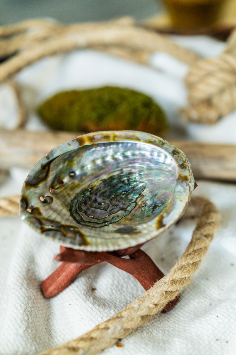 Rainbow Abalone mušľa so stojanom na pálenie zväzkov