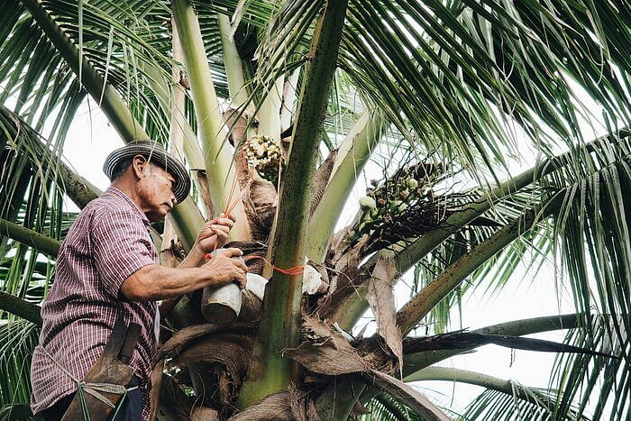 Monks Coconut blossom sugar Organic