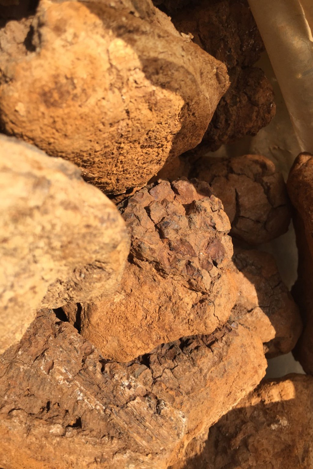 Monks Mystic Elixir -MEDICINAL MUSHROOM COCOA - RISE UP & SHINE