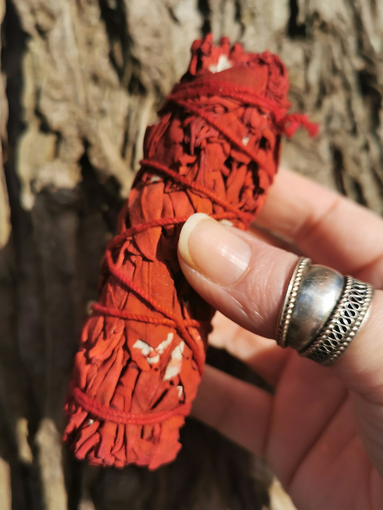 Šalvia Biela s Dračou krvou