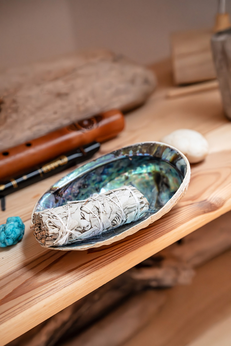 Green Abalone mušla Haliotis Fulgens na pálenie zväzkov