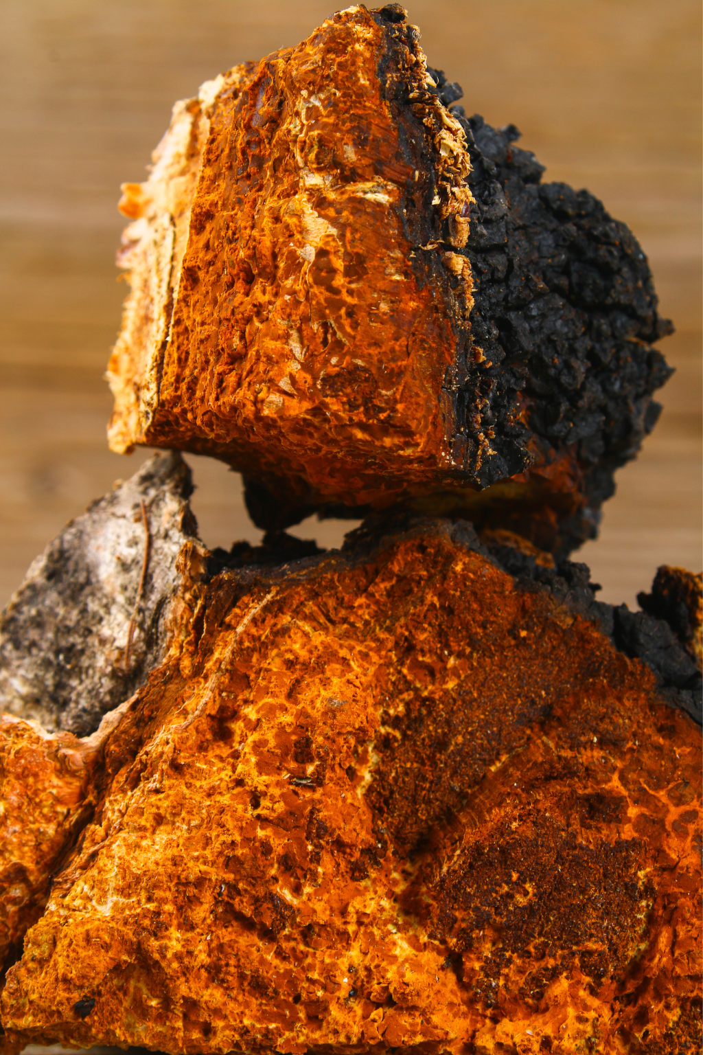 Monks Mystic Elixir -MEDICINAL MUSHROOM COCOA - RISE UP & SHINE