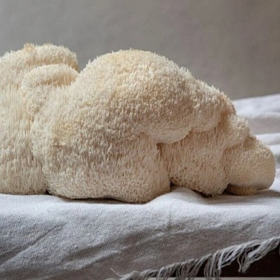 Monks Mystic Elixir - Medicinal Mushrooms & Cacao 80g