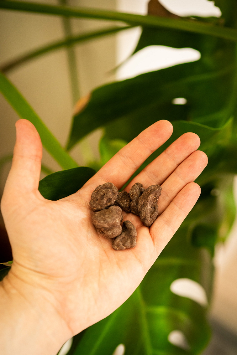 RAW COCOA QUEEN BEANS 200g