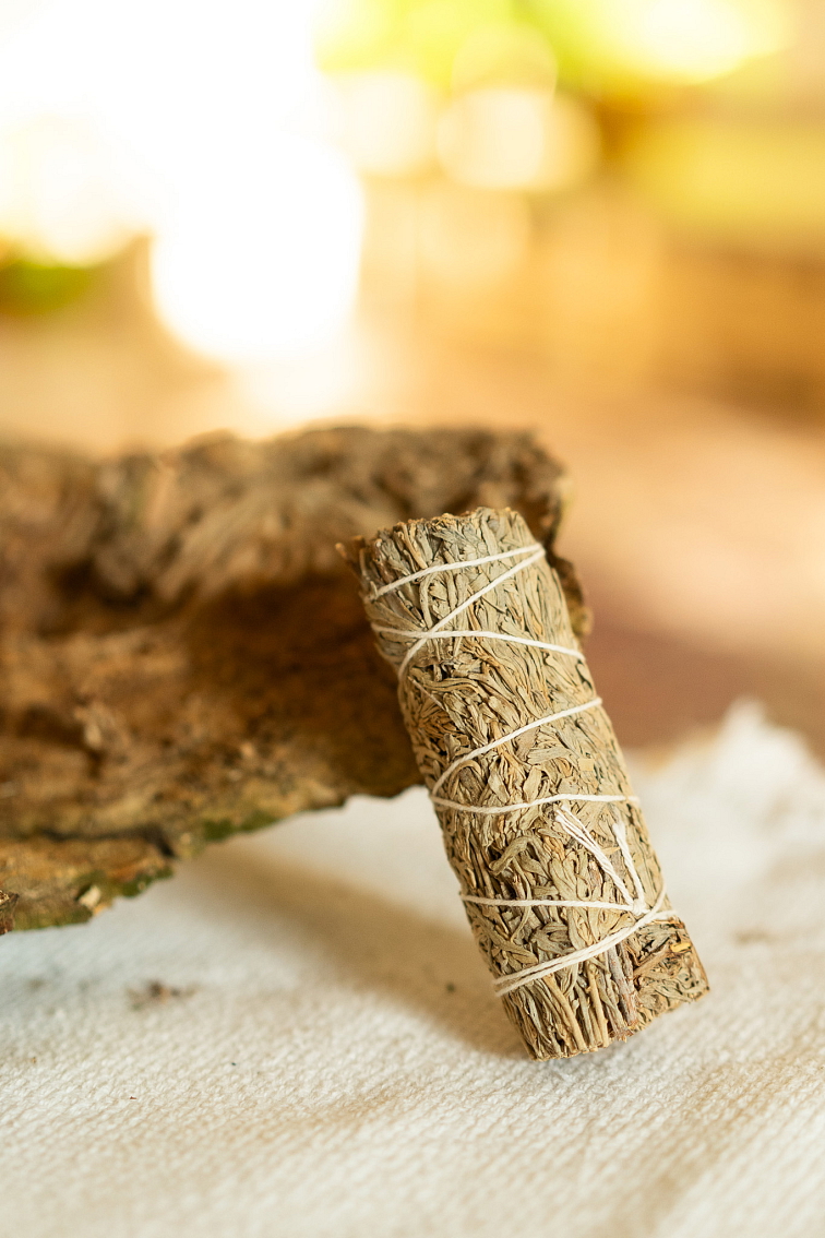 Šalvia Shasta modrá S