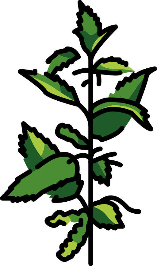 Najel Šampón 2 v 1 pre Mastné Vlasy 500 ml