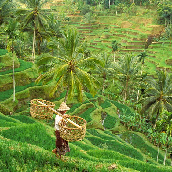 Ceremoniálne kakao RAW Bali 500g