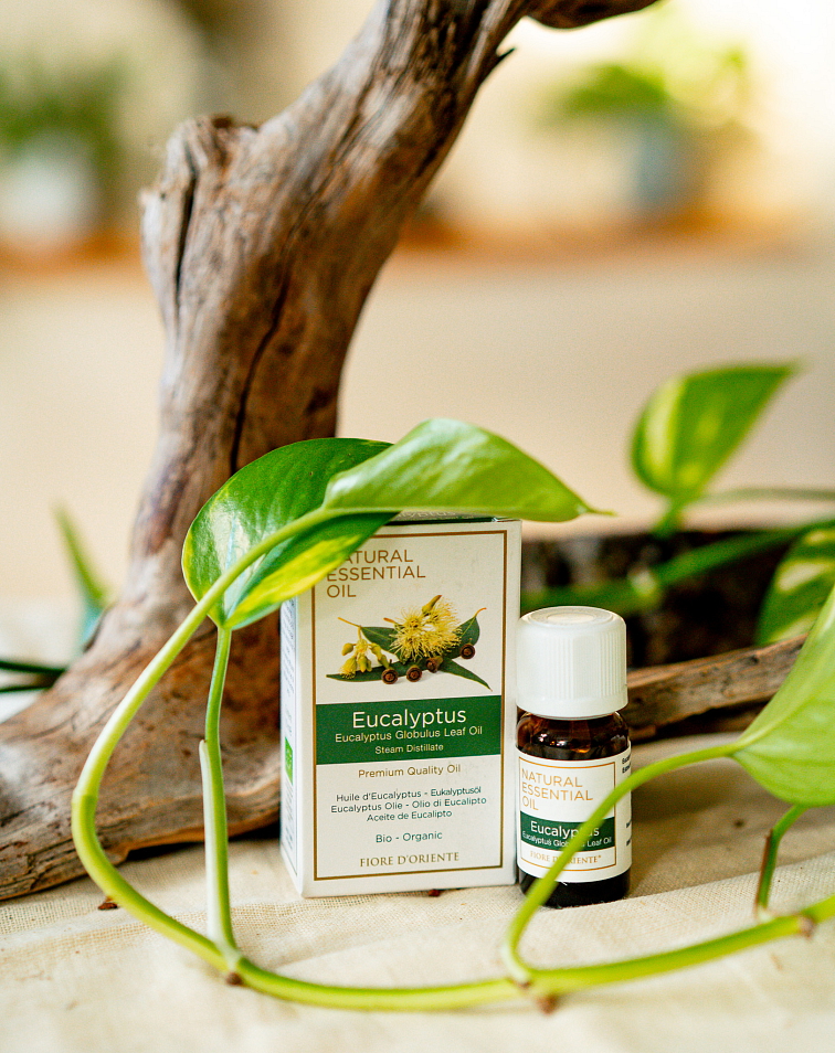 Ultrazvukový difuzér Zen Forest Natural