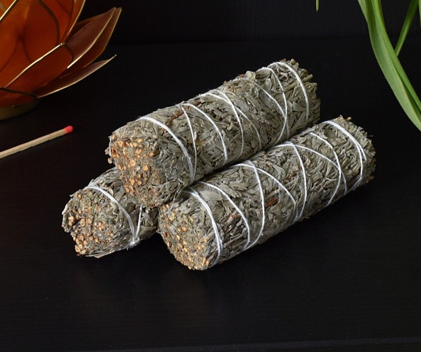 Šalvia Shasta modrá S