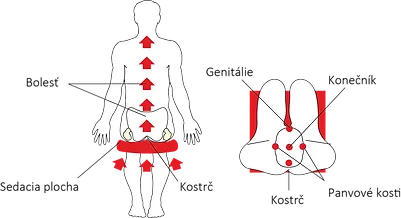 Asana Architekt stolička