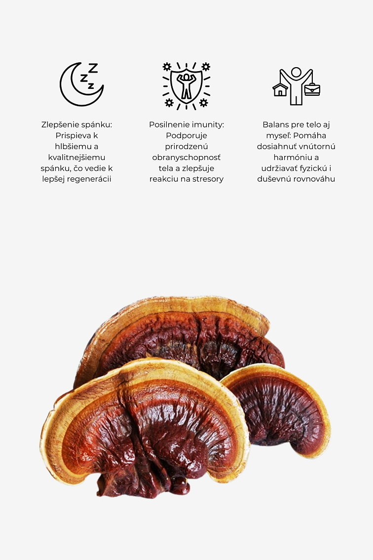 Monks Mystic Elixir - Medicinal Mushrooms & Cacao 80g