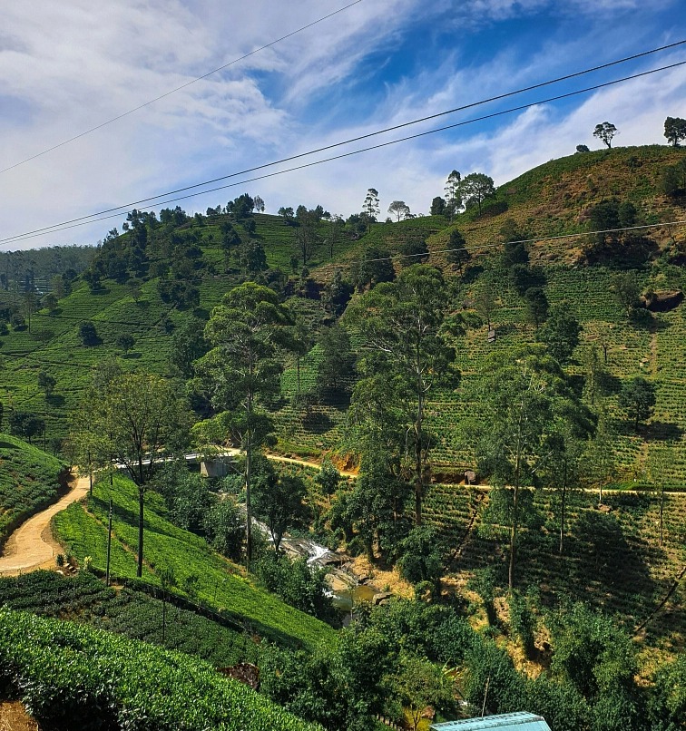 RAW COCOA QUEEN BEANS 200g