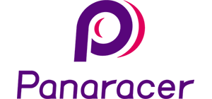 PANARACER Pasela PT 700C plášť, drôt