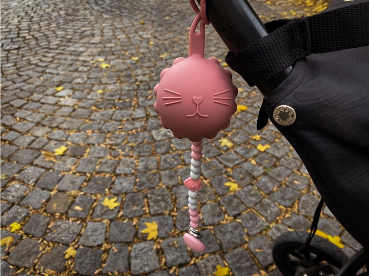 Desami Silikonové Pouzdro na dudlík Starorůžové