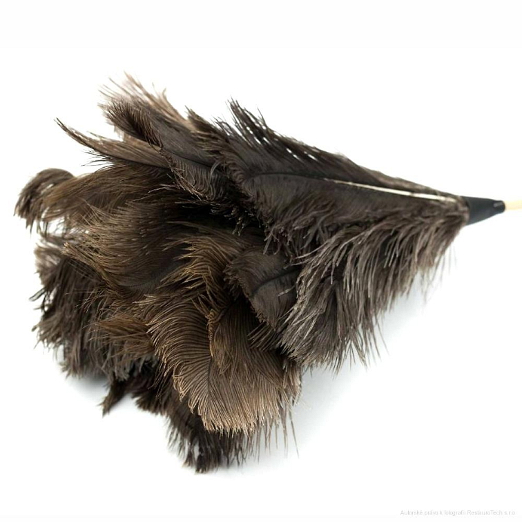 Prachovka z pštrosího peří