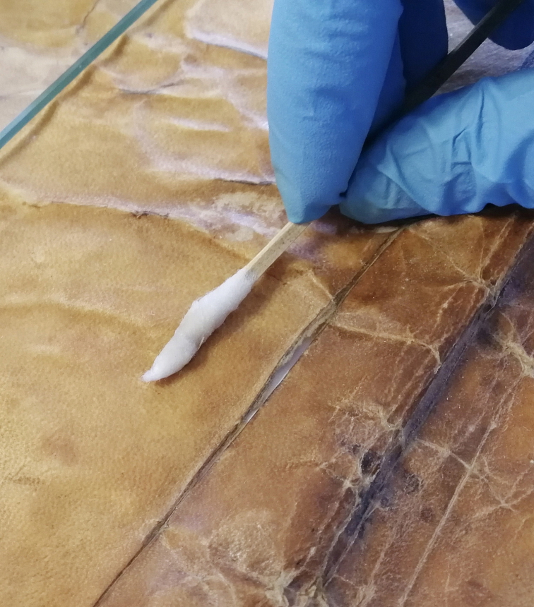 Vulpex, tekuté mýdlo