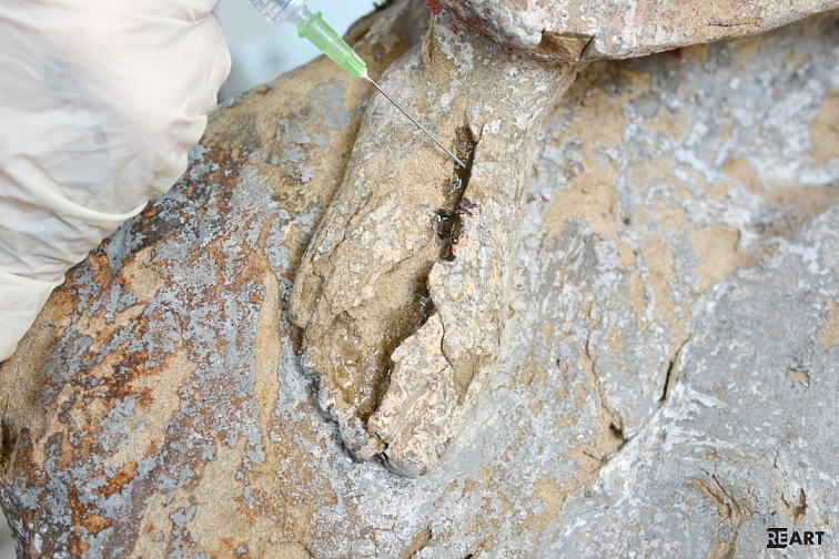 Paraloid™ B-72 - roztok 25%