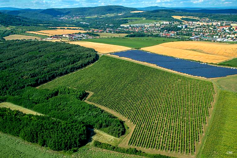 Domin a Kusicky - o vinarstve