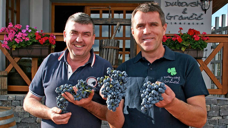 Slovensko - krajina vína - Malokarpatská oblast