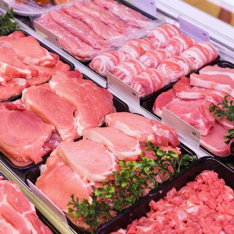 PROFI LED pásek 24V 120LED/m SMD2835 14W/m Osvětlení masa